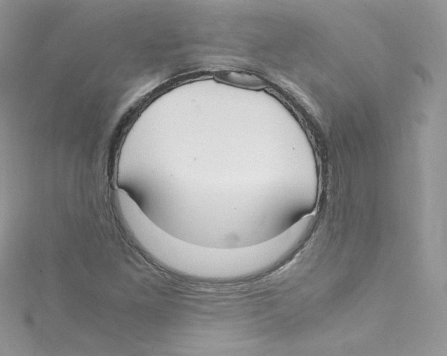 X0000114661261200911171103