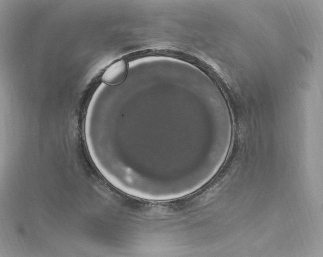 X0000114661263200911171103