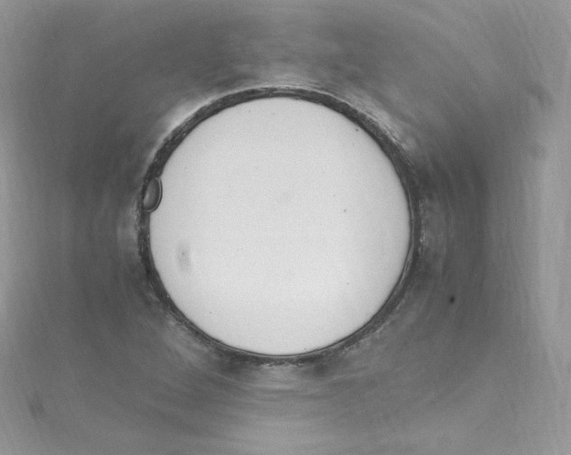 X0000114661264200911171103