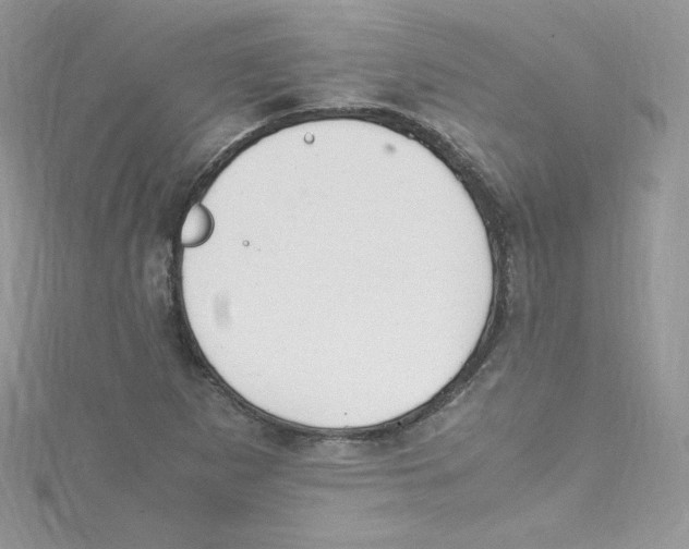 X0000114661265200911171103