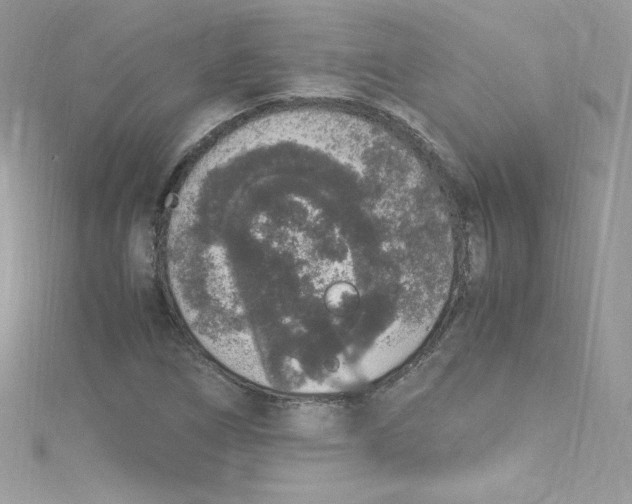 X0000114661266200911171103