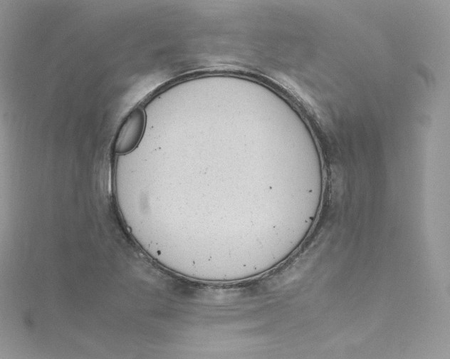 X0000114661269200911171103