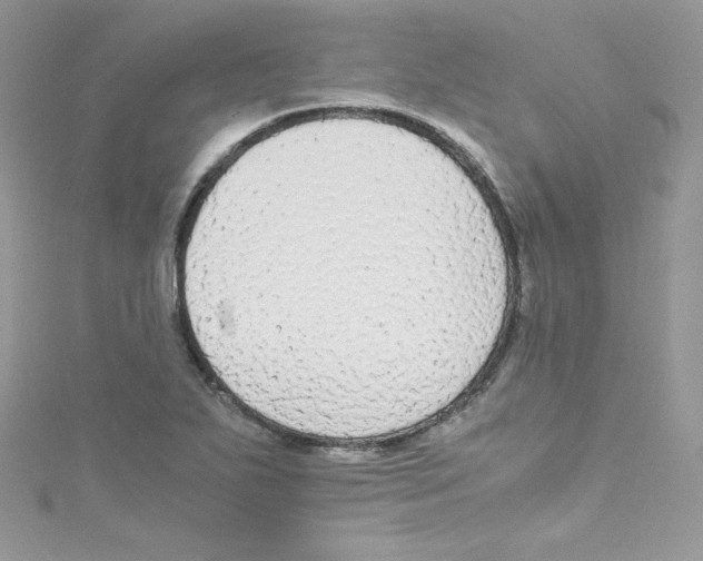 X0000114661271200911171103