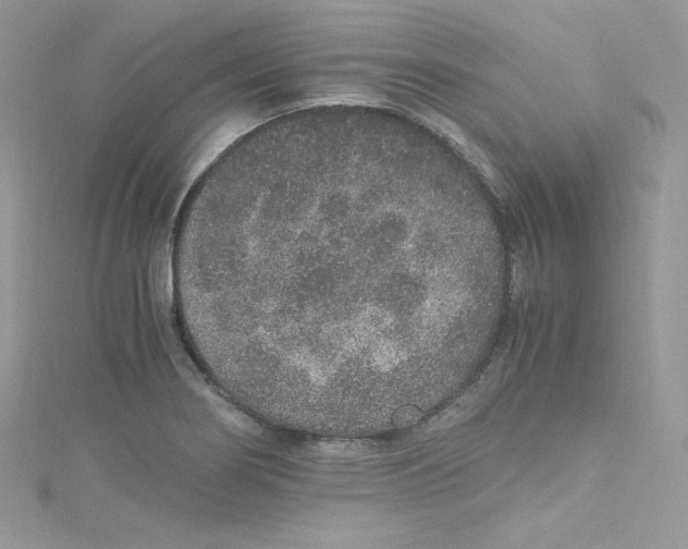 X0000114661274200911171103