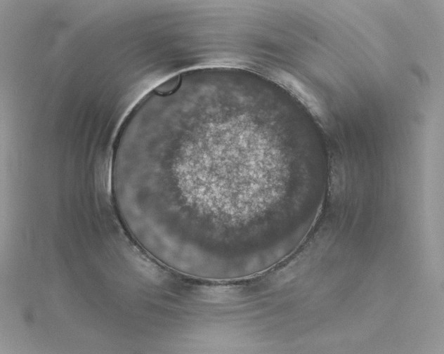 X0000114661276200911171103