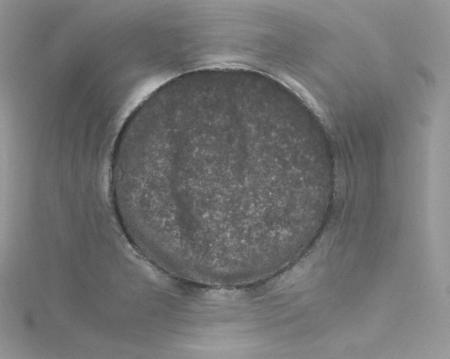 X0000114661277200911171103