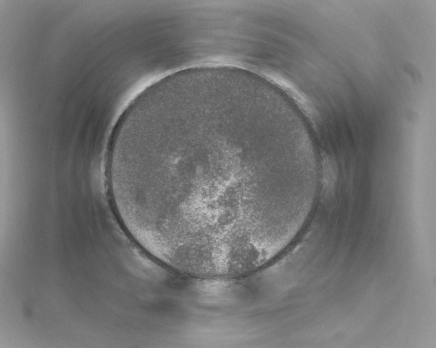 X0000114661278200911171103