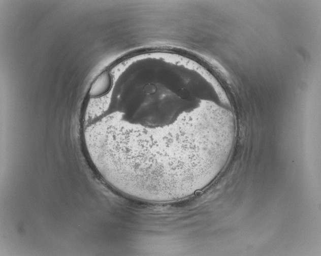 X0000114661279200911171103