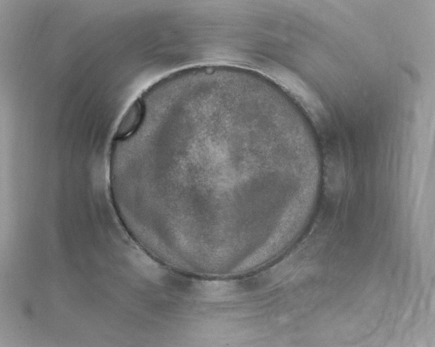 X0000114661280200911171103