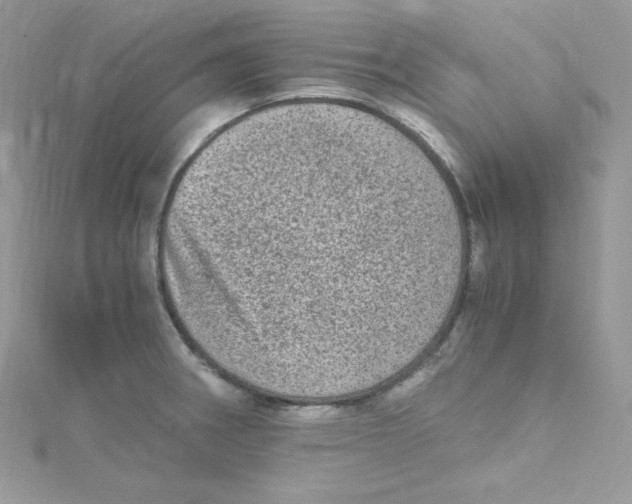 X0000114661282200911171103