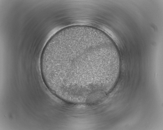 X0000114661283200911171103