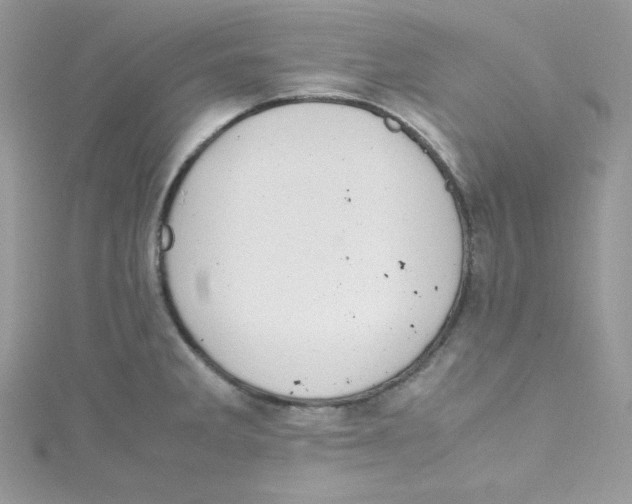 X0000114661285200911171103