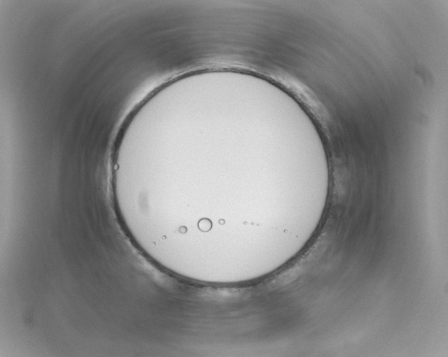 X0000114661286200911171103