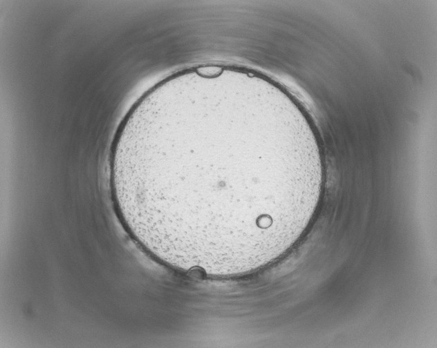 X0000114661287200911171103