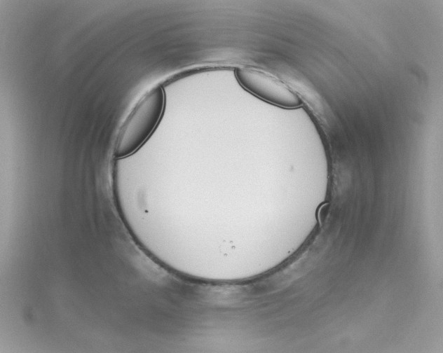 X0000114661288200911171103