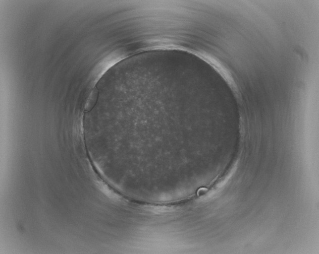 X0000114661289200911171103