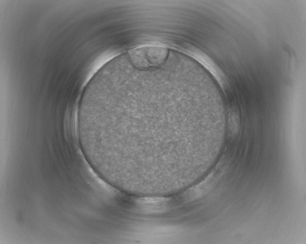 X0000114661290200911171103