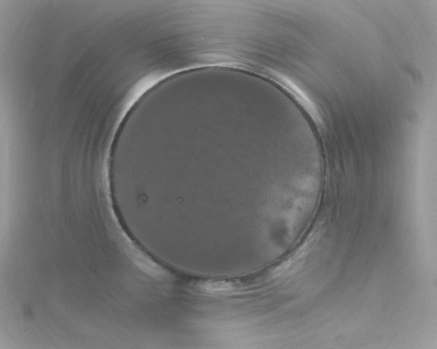 X0000114661291200911171103