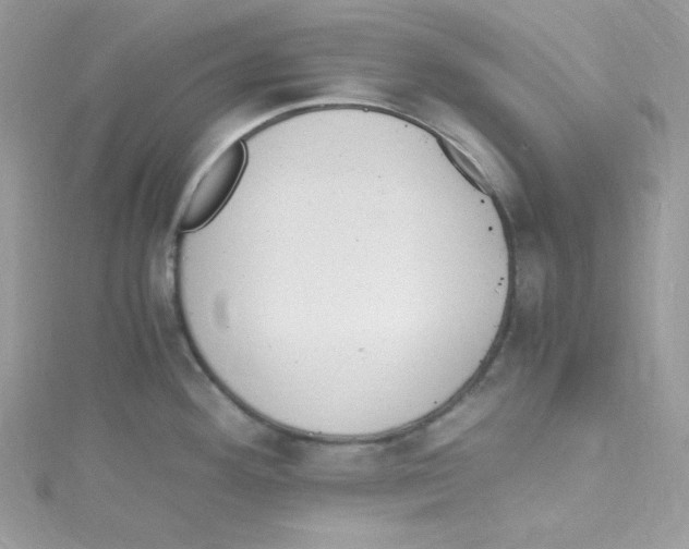 X0000114661292200911171103