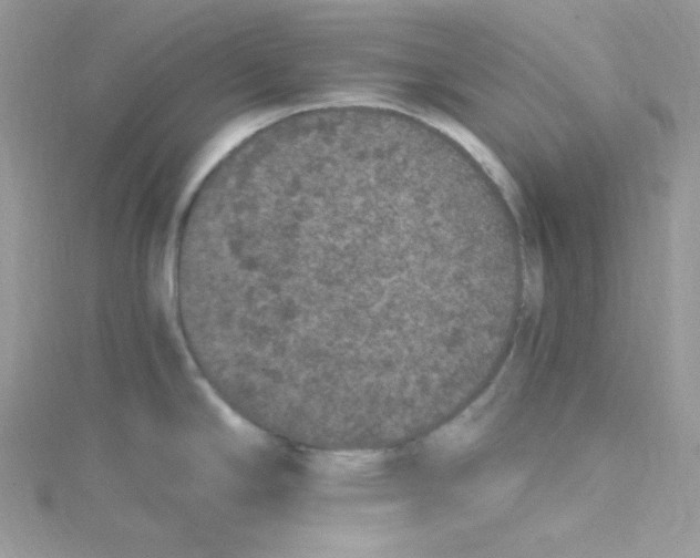 X0000114661294200911171103