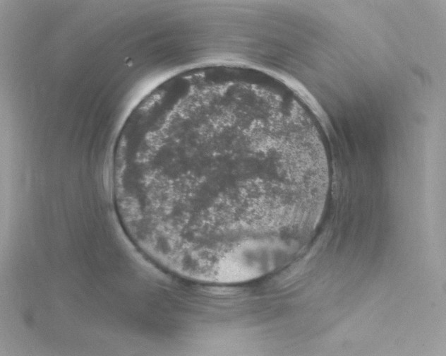 X0000114661295200911171103