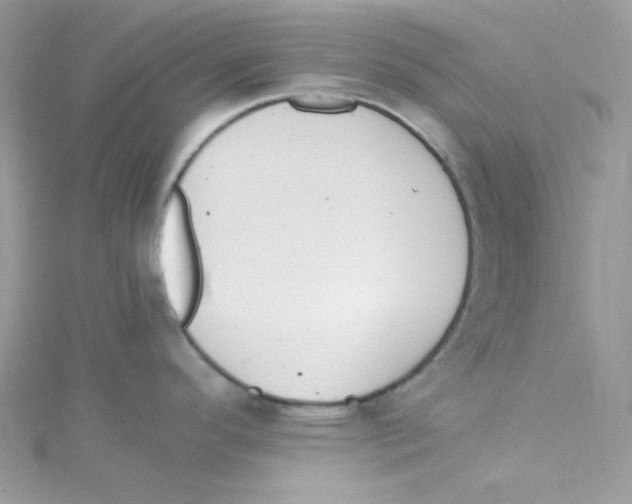 X0000114661296200911171103