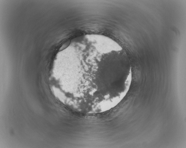 X0000114661297200911171102