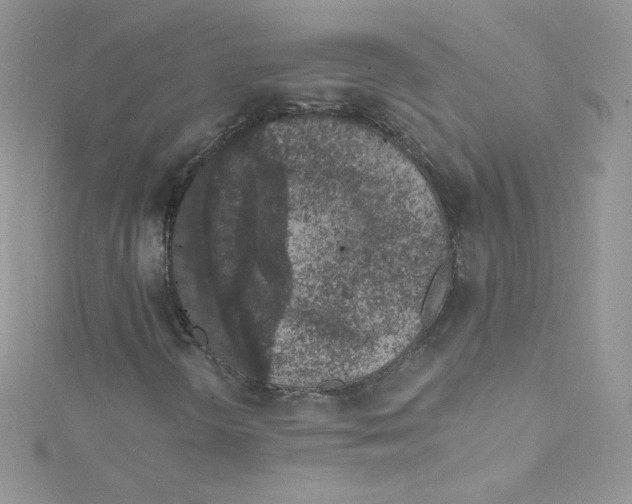 X0000114661298200911171102