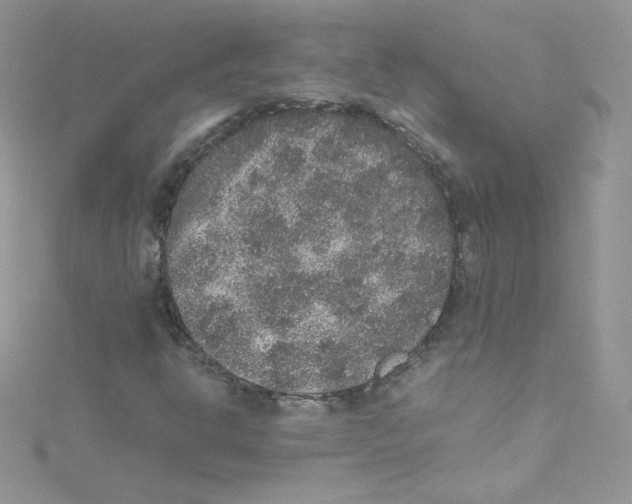 X0000114661302200911171102