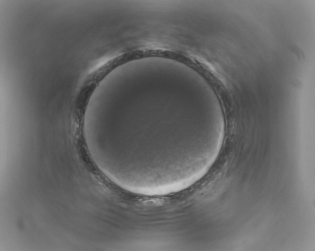 X0000114661303200911171102