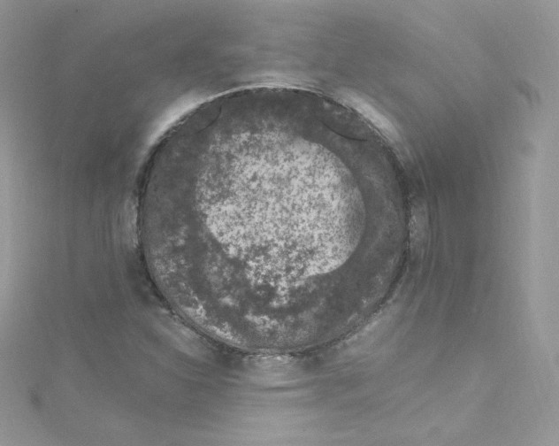 X0000114661310200911171102