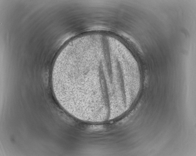 X0000114661313200911171103