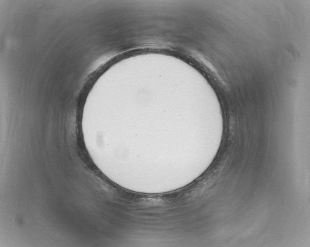 X0000114661315200911171103