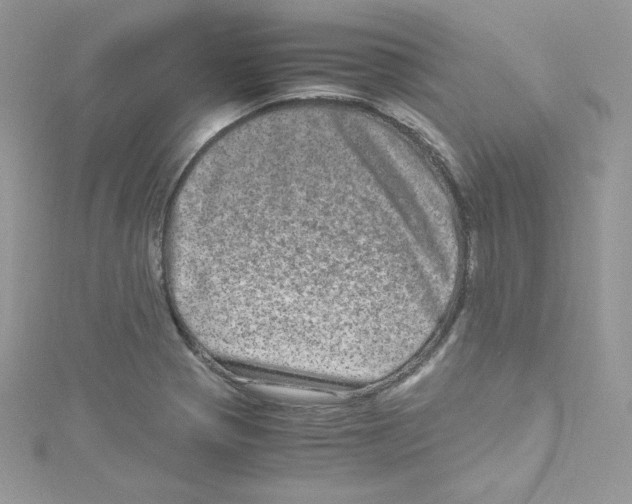 X0000114661321200911171103