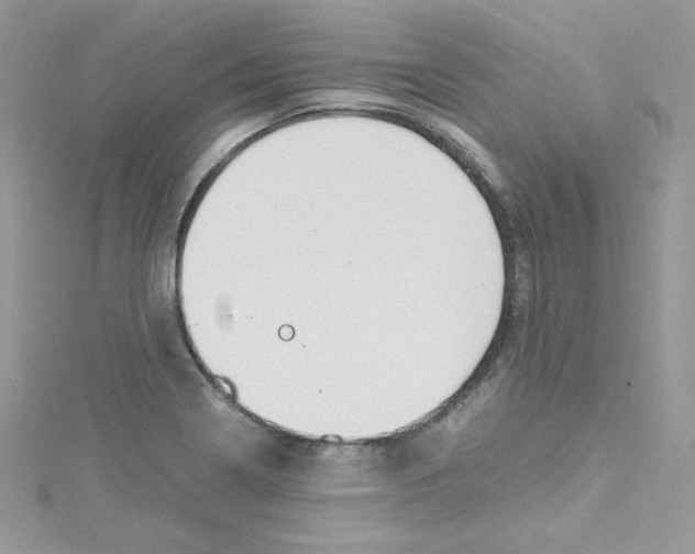 X0000114661322200911171103