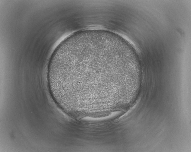 X0000114661325200911171103