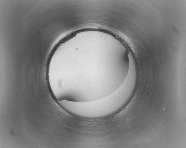 X0000114661326200911171103