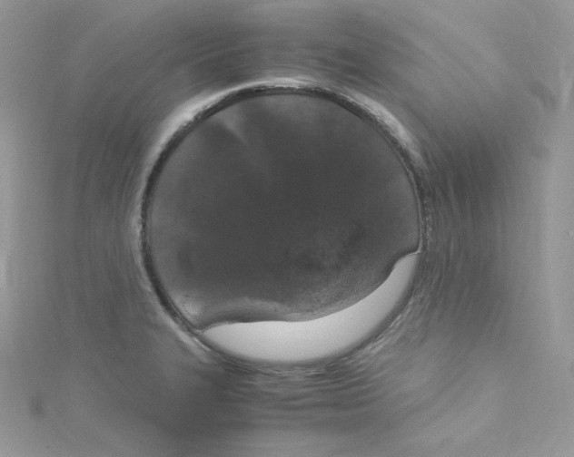 X0000114661327200911171103