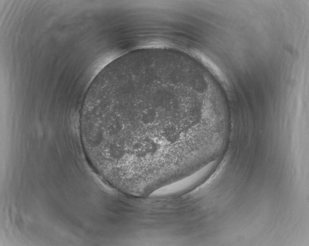 X0000114661329200911171103