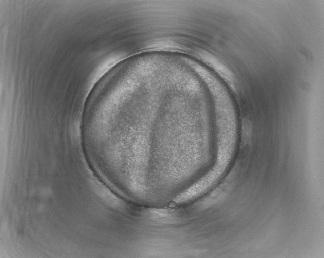 X0000114661330200911171103