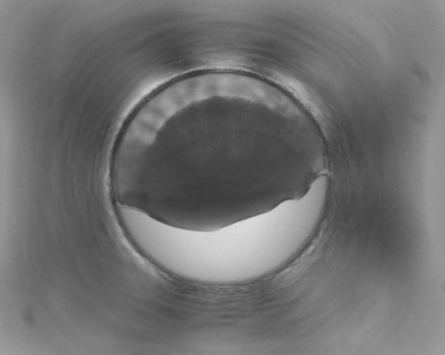 X0000114661331200911171103