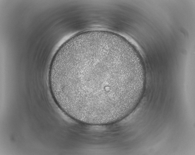 X0000114661333200911171103