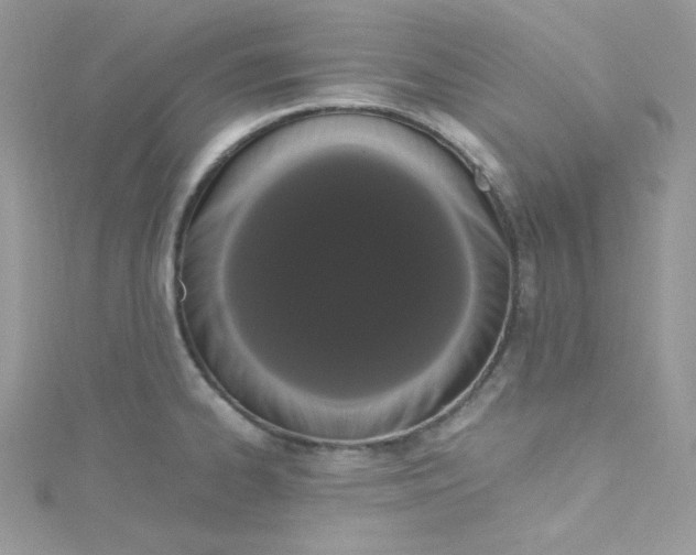 X0000114661334200911171103