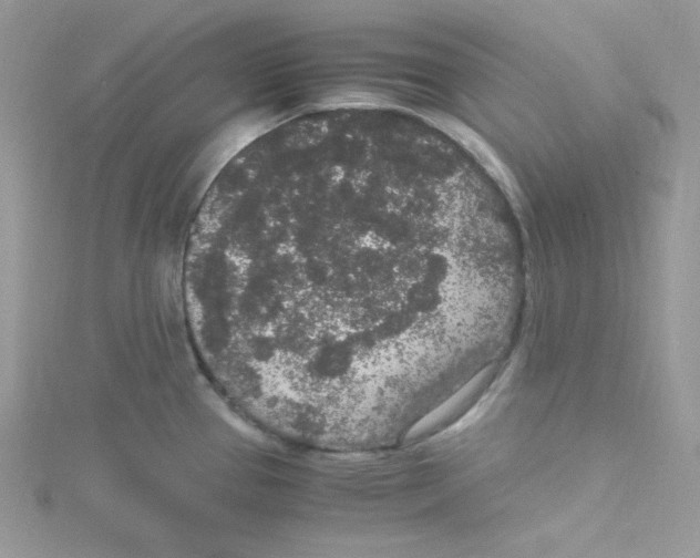 X0000114661337200911171103