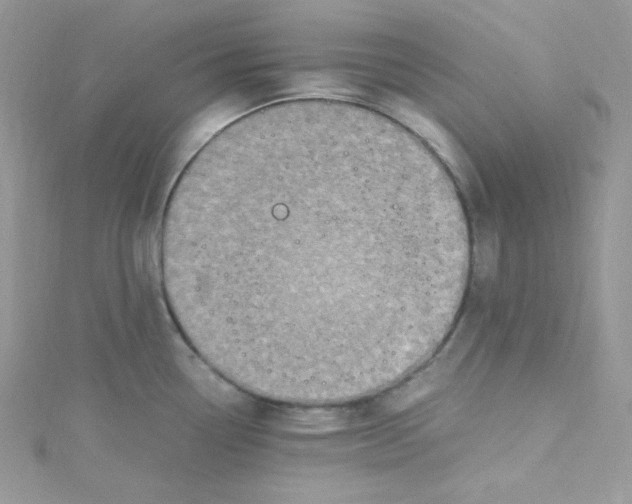 X0000114661338200911171103