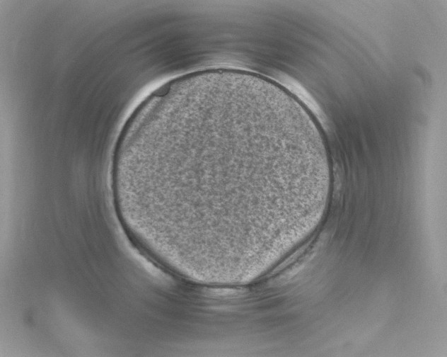 X0000114661339200911171103