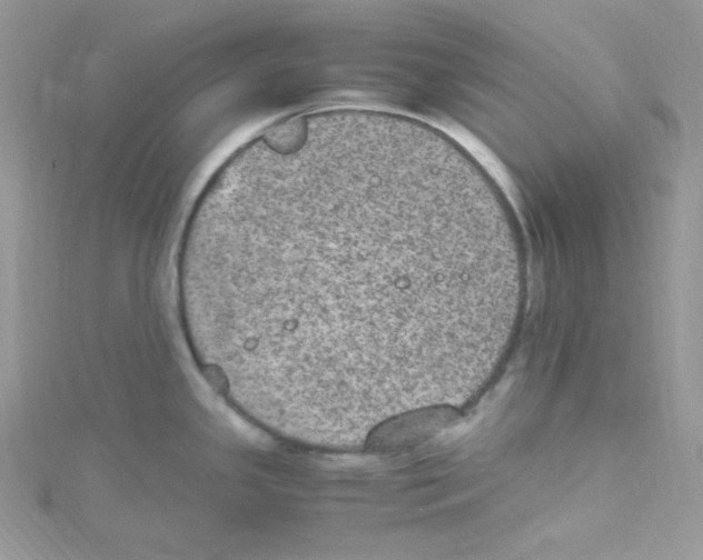 X0000114661341200911171103