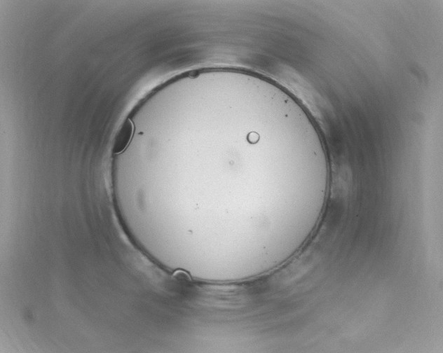 X0000114661342200911171103