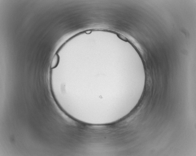 X0000114661343200911171103