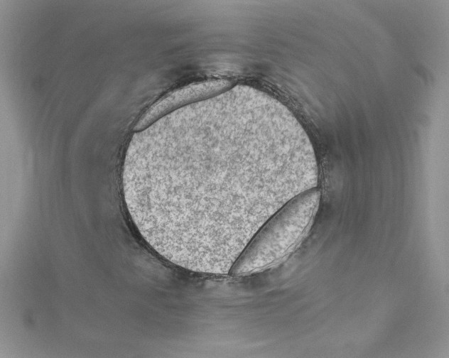 X0000114661345200911171102